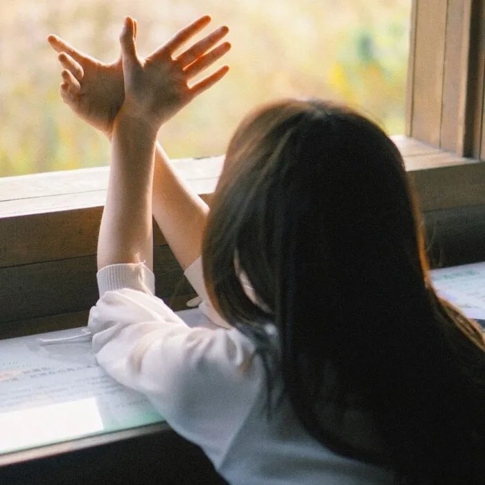 秀水河子歼灭战